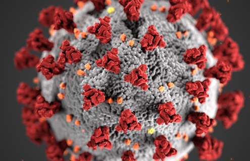 Oregon Health Authority: COVID-19 Testing Basics